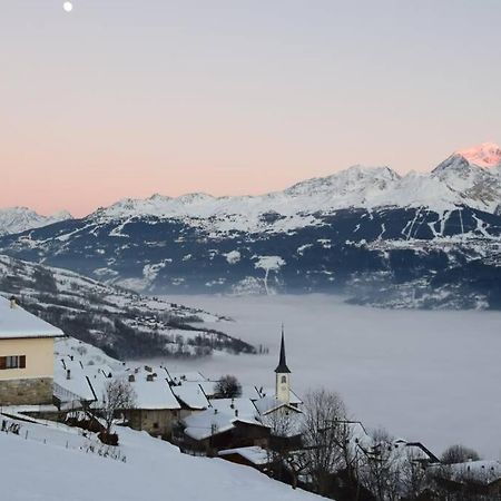 Studio Cosy Vallee De Tarentaise La Plagne Dış mekan fotoğraf
